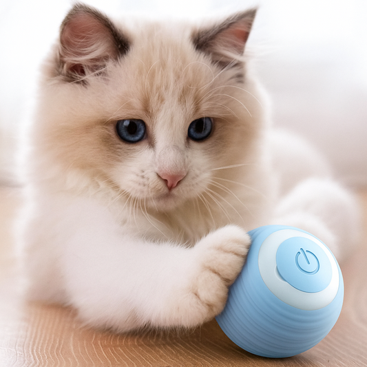 Balle Interactive Intelligente